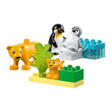 LEGO® DUPLO® Wild Animal Families: Penguins & Lions