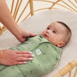ErgoPouch Cocoon Swaddle Bag 2.5 Tog
