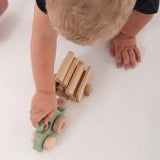 Grow Baby Push Car
