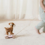 Little Dutch Pull A Long