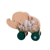 Grow Baby Push Car