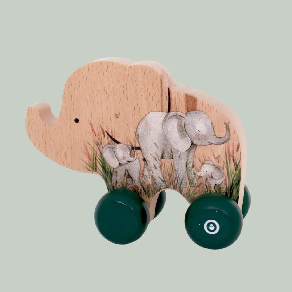 Grow Baby Push Car