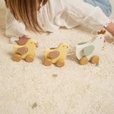 Little Dutch Pull A Long