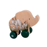 Grow Baby Push Car