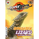 Supernova Issue 12.4