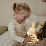 Little Dutch Baby Nightlight