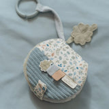 Little Dutch Miffy Buggy Book Lucky