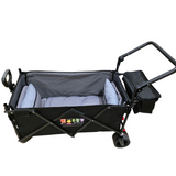 Little Hummingbird Jolly Trolley Liner & Picnic Blanket