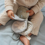 Little Dutch Miffy Buggy Book Lucky