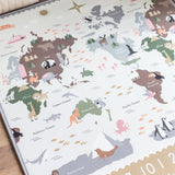 Map and Alphabet Reversible Mat