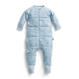 ErgoPouch Sleep Onesie 2.5 TOG