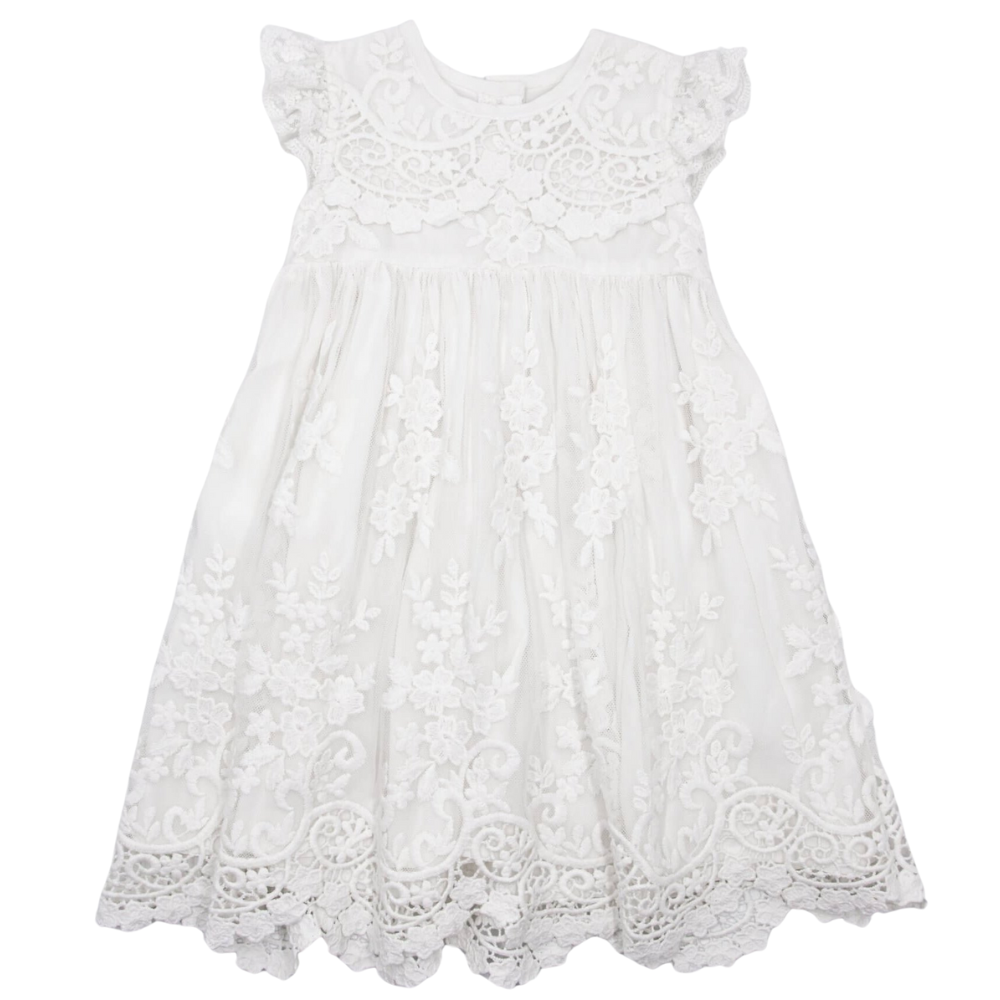 Meerkat Francis Vintage Lace Short Sleeve Dress