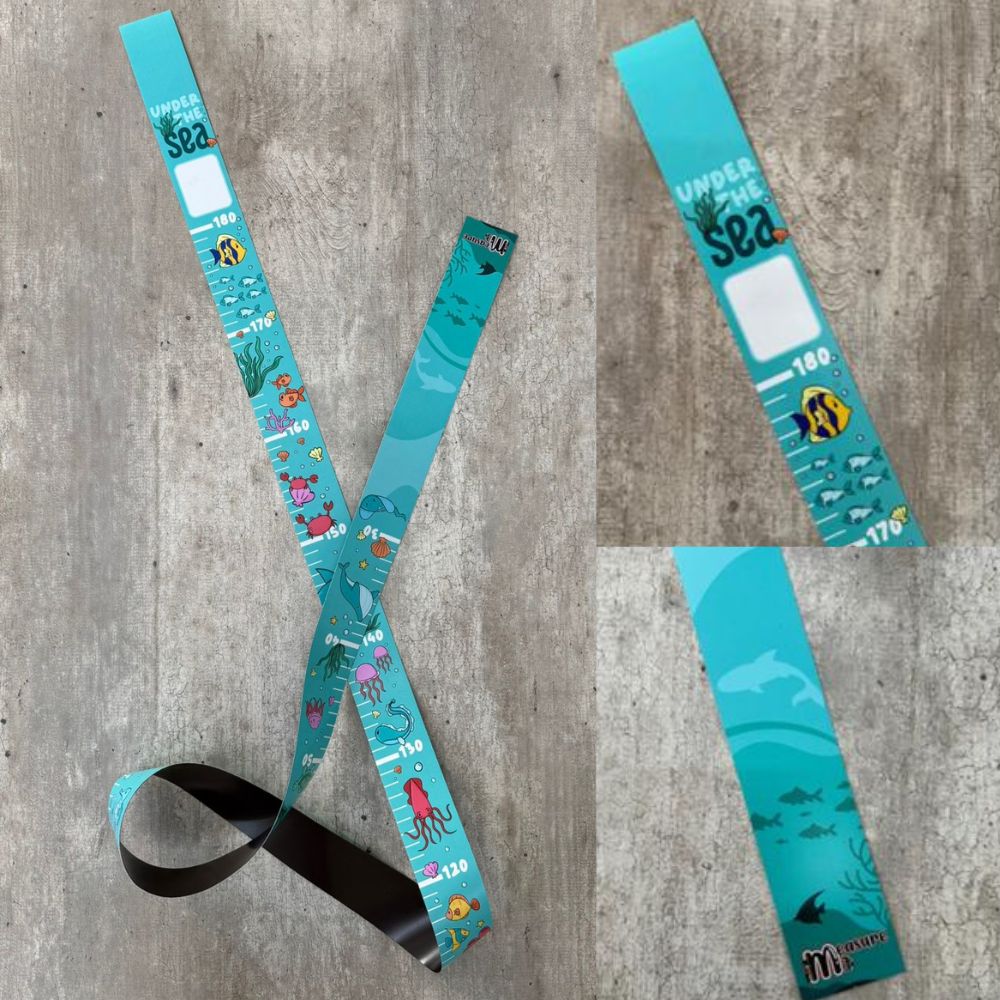 Magnetic Measuring Growth Chart