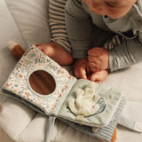 Little Dutch Buggy Book