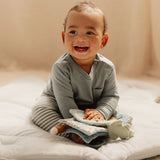 Little Dutch Buggy Book