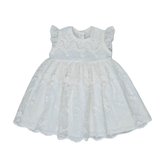 Meerkat Fleur Vintage Lace Short Sleeve Dress