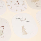 Little Dutch Baby Milestone Cards