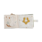 Little Dutch Buggy Book