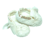 Meerkat Vintage Lace Shoes