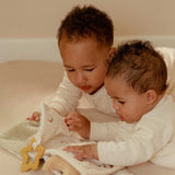 Little Dutch Buggy Book