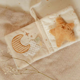 Little Dutch Buggy Book