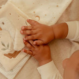 Little Dutch Buggy Book