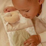 Little Dutch Buggy Book