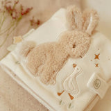 Little Dutch Buggy Book