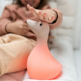 Flow Amsterdam Liva Night Light