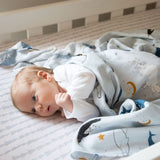 Baby Arctic Creatures Bamboo Swaddle