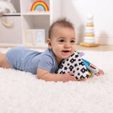 Melissa & Doug Ocean Tummy Time Triangle Baby Toy