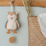 Little Dutch Music Box Owl