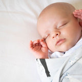 Baby Arctic Creatures Bamboo Swaddle