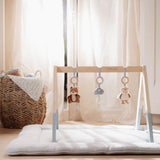 Little Dutch Play Gym