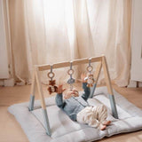 Little Dutch Play Gym