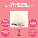 Carmién Berry Watermelon Kiddies Cold Brew Tea