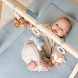 Little Dutch Play Gym