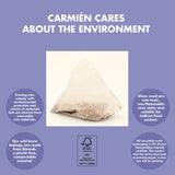Carmién Apple Blueberry Kiddies Cold Brew Tea