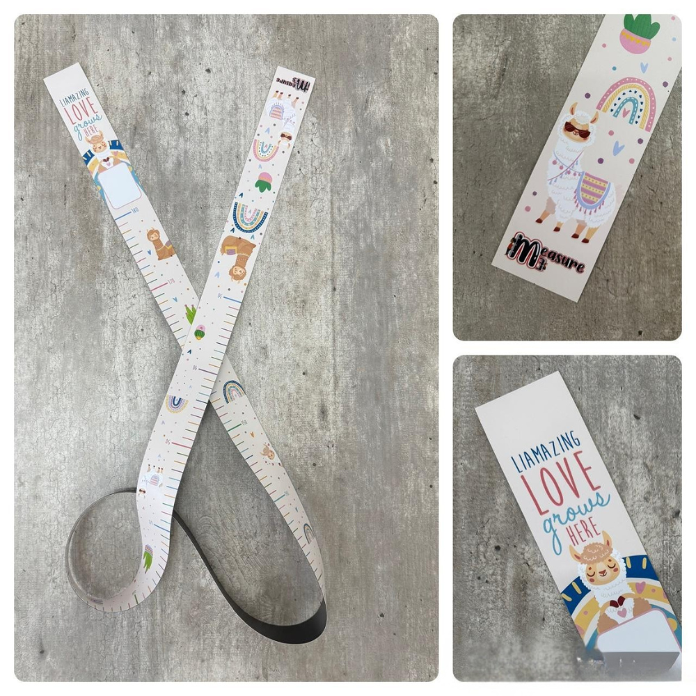 Magnetic Measuring Growth Chart