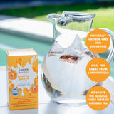 Carmién Peachy Peach Kiddies Cold Brew Tea