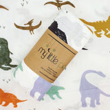 Baby Dinosaur Bamboo Swaddle