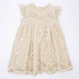 Meerkat Francis Lace Dress - Short Sleeve, Calve Length