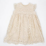 Meerkat Nina Lace Dress - Short Sleeve, Calve Length