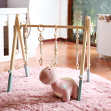 Aai Aai Baby Sage Playgym Dangles