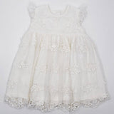 Meerkat Sarah Lace Dress - Short Sleeve