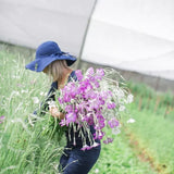 Adene's Farm Flowers - Agrostemma