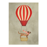 Dachsund in a Hot Air Balloon Frame