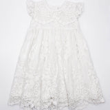 Meerkat Francis Lace Dress - Short Sleeve, Calve Length