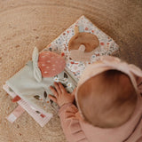 Little Dutch Buggy Book